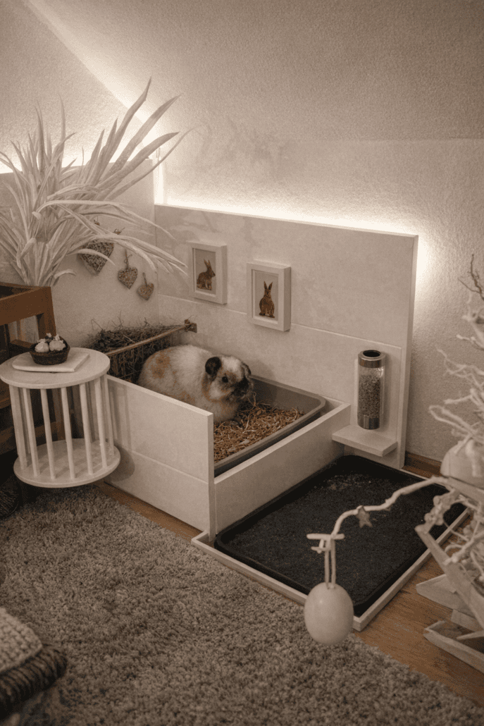 Cute rabbit in modern indoor rabbit enclosure with hay and artwork.