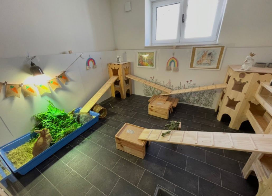 Colorful indoor rabbit playpen with ramps, tunnels, and toys for pet rabbits.