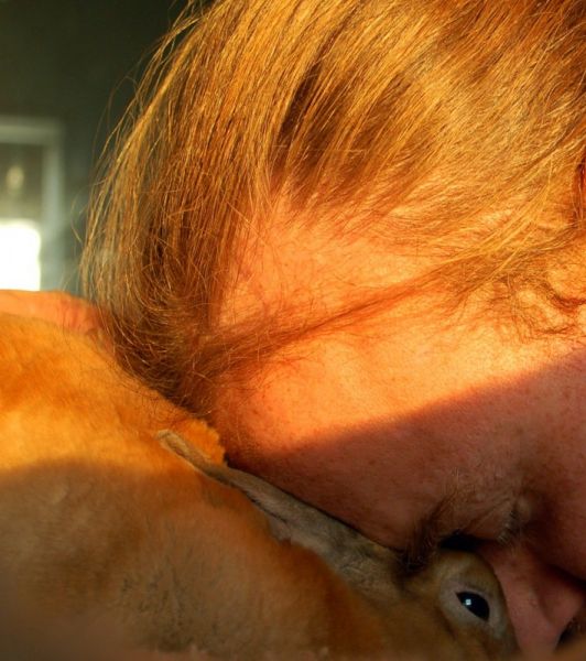 Close-up of a rabbit with herpesvirus symptoms, showing skin lesions and eye issues.