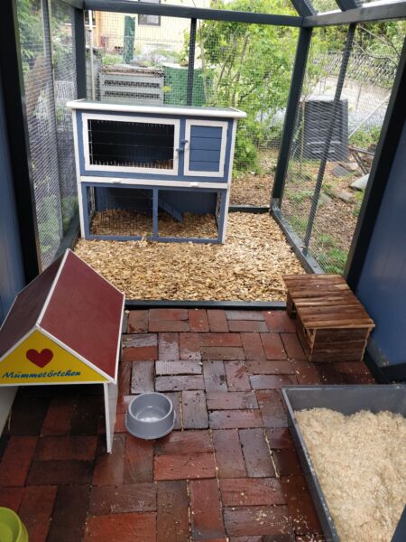 Rabbit hutch with outdoor run for safe rabbit housing.