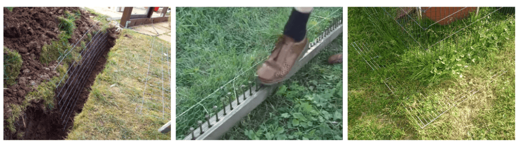 Secure rabbit enclosure with fencing and ground cover.