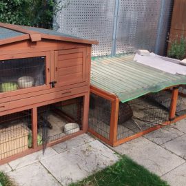 Living on the balcony – How to rabbit