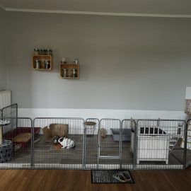 Living on the balcony – How to rabbit