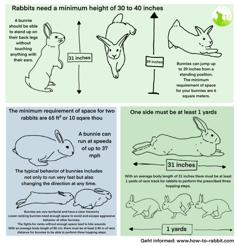 House Keeping – How to rabbit