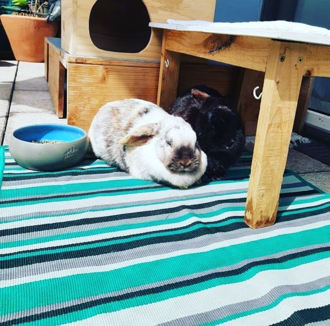 Rabbit Friendly Balcony – How to rabbit