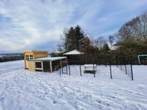 Wooden rabbit hutch and outdoor rabbit enclosure in snowy landscape for pet rabbits.